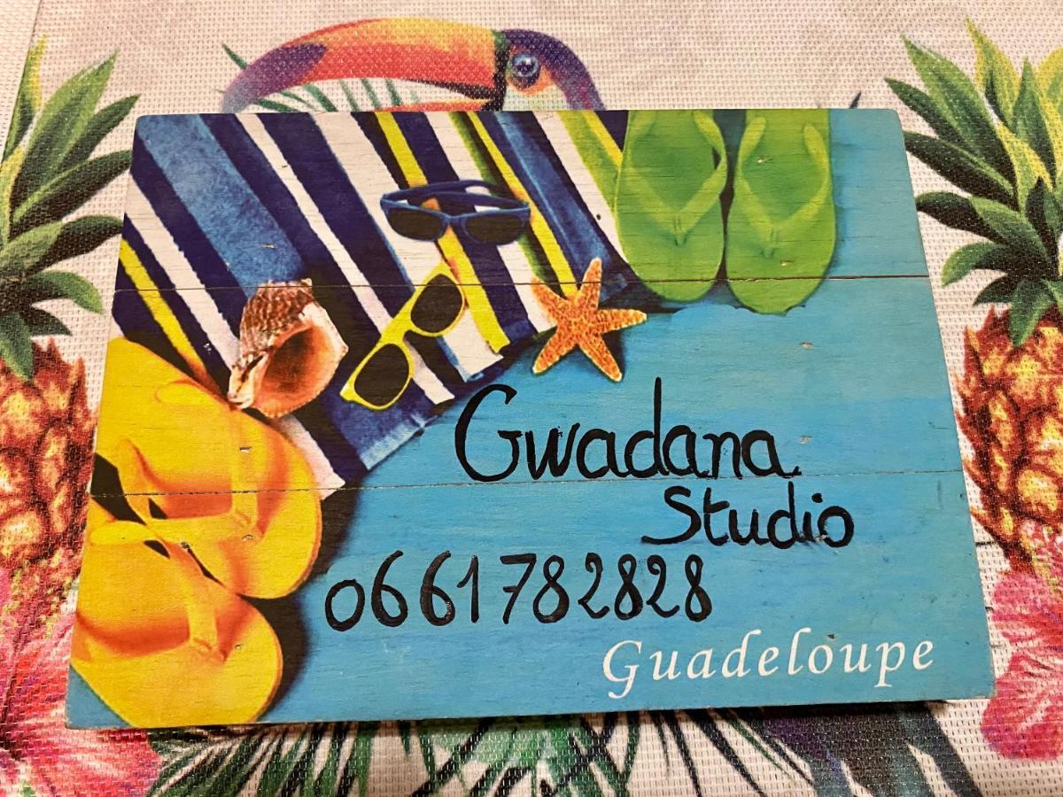 Vue Exclusive Mer Et Volcan, Village Vacances Avec Plage Et Piscine, Les Gwadastudios Sainte-Anne  Zewnętrze zdjęcie
