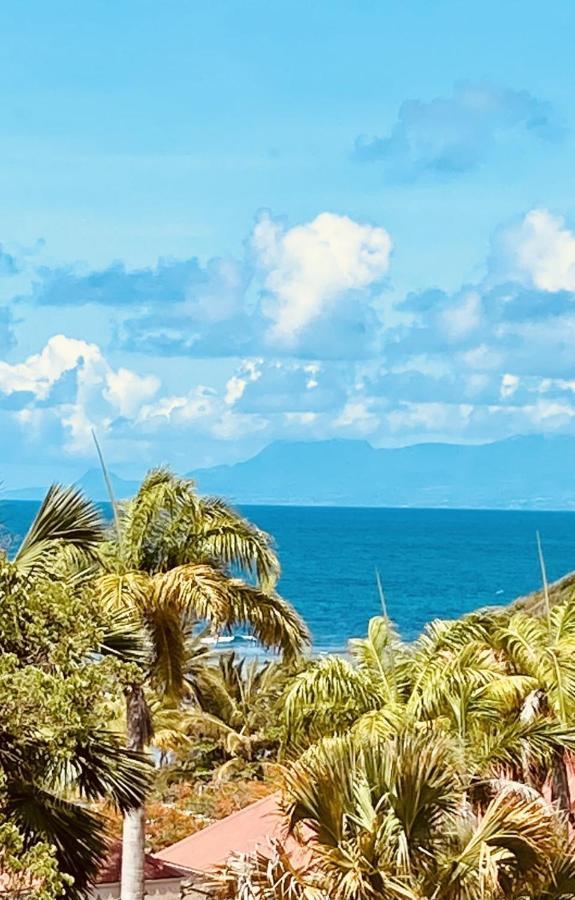 Vue Exclusive Mer Et Volcan, Village Vacances Avec Plage Et Piscine, Les Gwadastudios Sainte-Anne  Zewnętrze zdjęcie