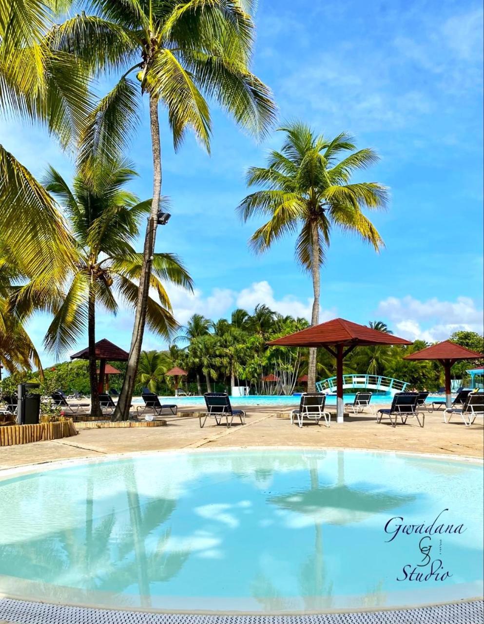 Vue Exclusive Mer Et Volcan, Village Vacances Avec Plage Et Piscine, Les Gwadastudios Sainte-Anne  Zewnętrze zdjęcie