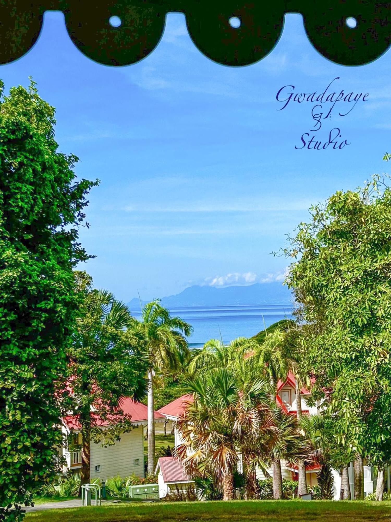 Vue Exclusive Mer Et Volcan, Village Vacances Avec Plage Et Piscine, Les Gwadastudios Sainte-Anne  Zewnętrze zdjęcie